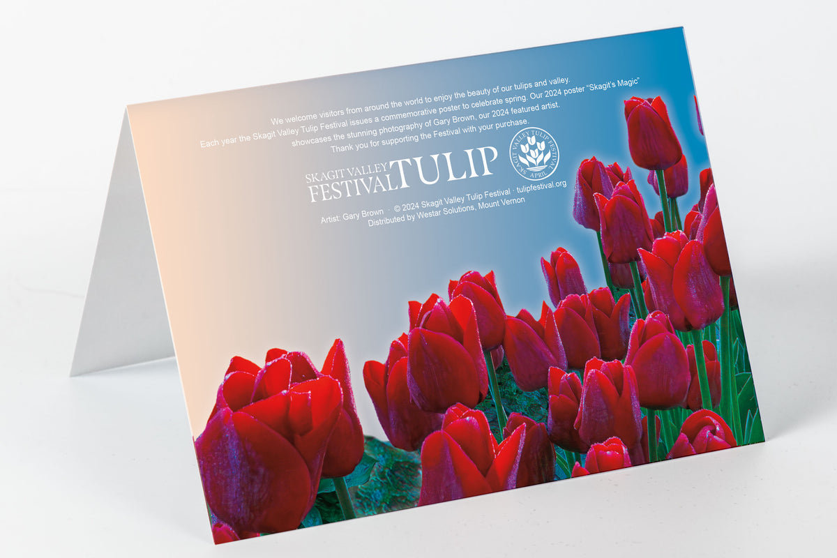 Greeting Card with 2024 Tulip Festival Poster Image Skagit Valley