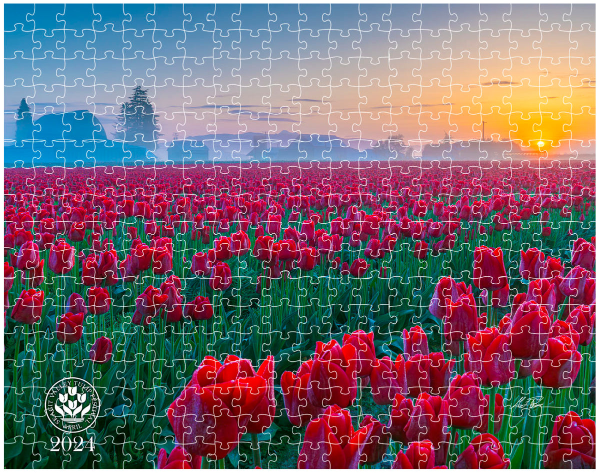 Puzzle Featuring 2024 Skagit Valley Tulip Festival Poster