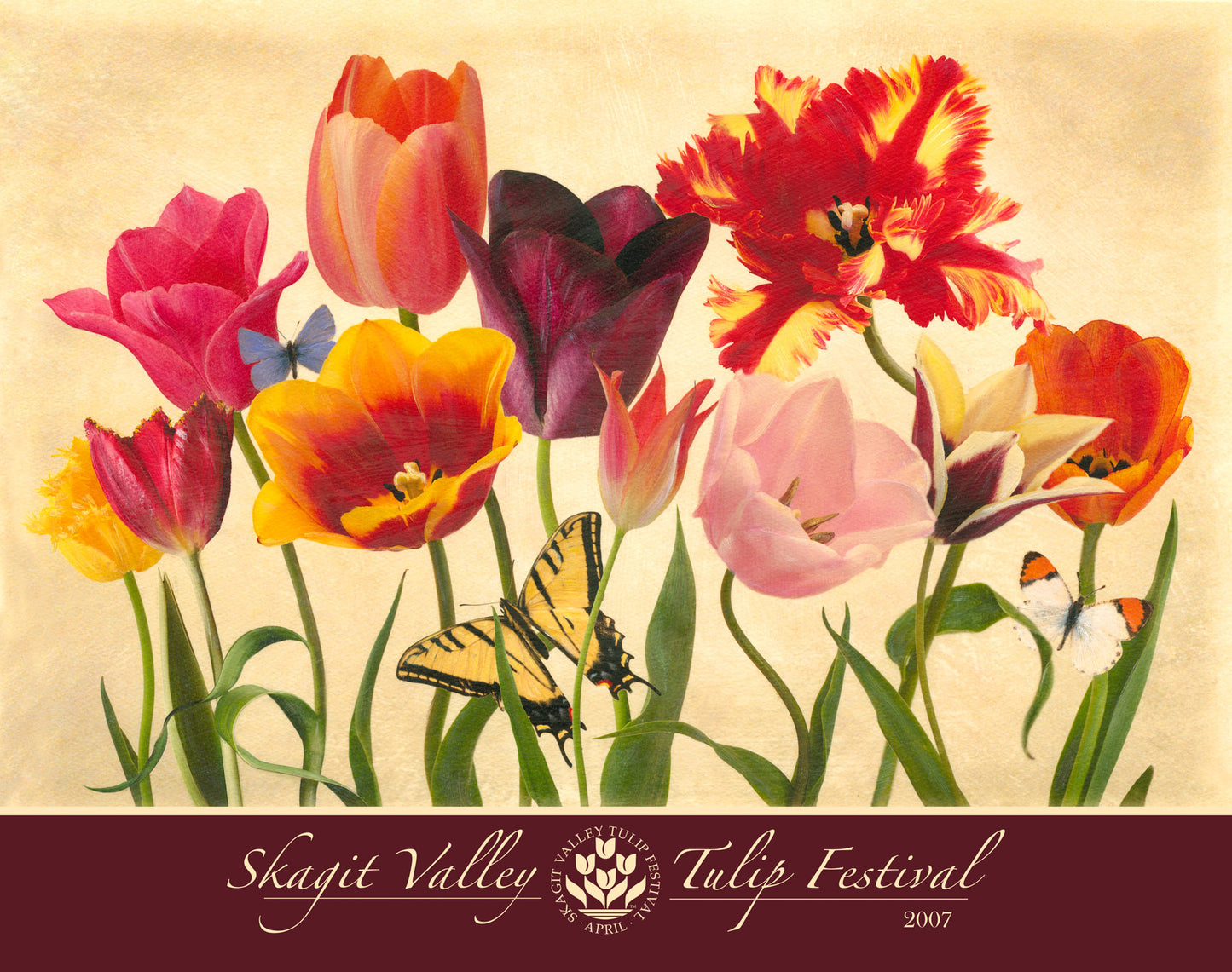 Tulip Postcard Mystery Bundle