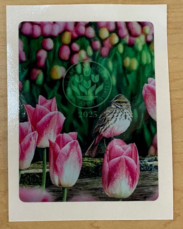 '23 Tulip Stickers