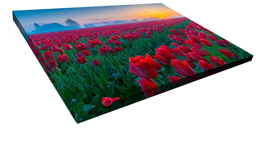 Canvas 18x24 with 2024 Poster Image