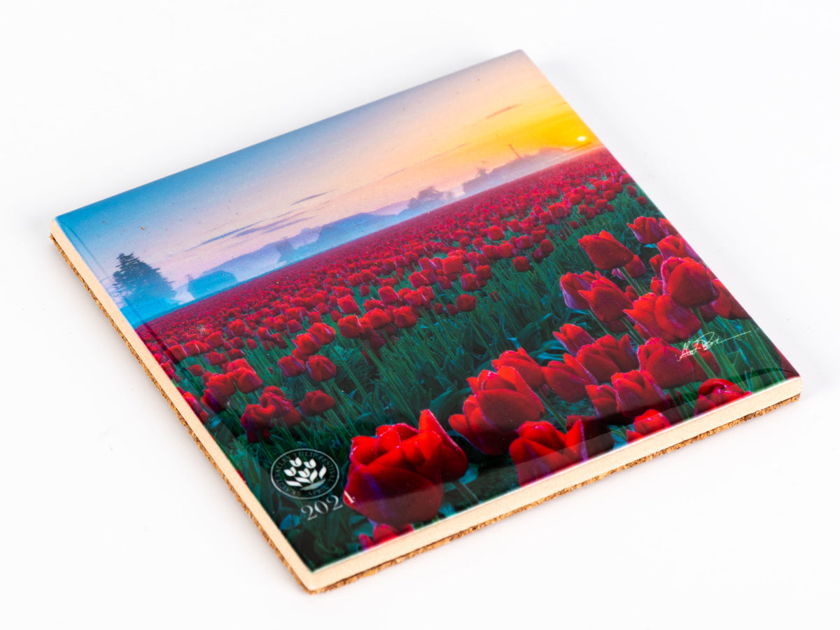 4x4 Tile with 2024 Skagit Valley Tulip Festival Poster Image