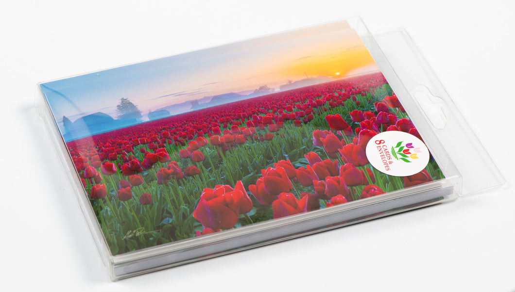 Greeting Card Boxed Set of 8 with 2024 Poster Image