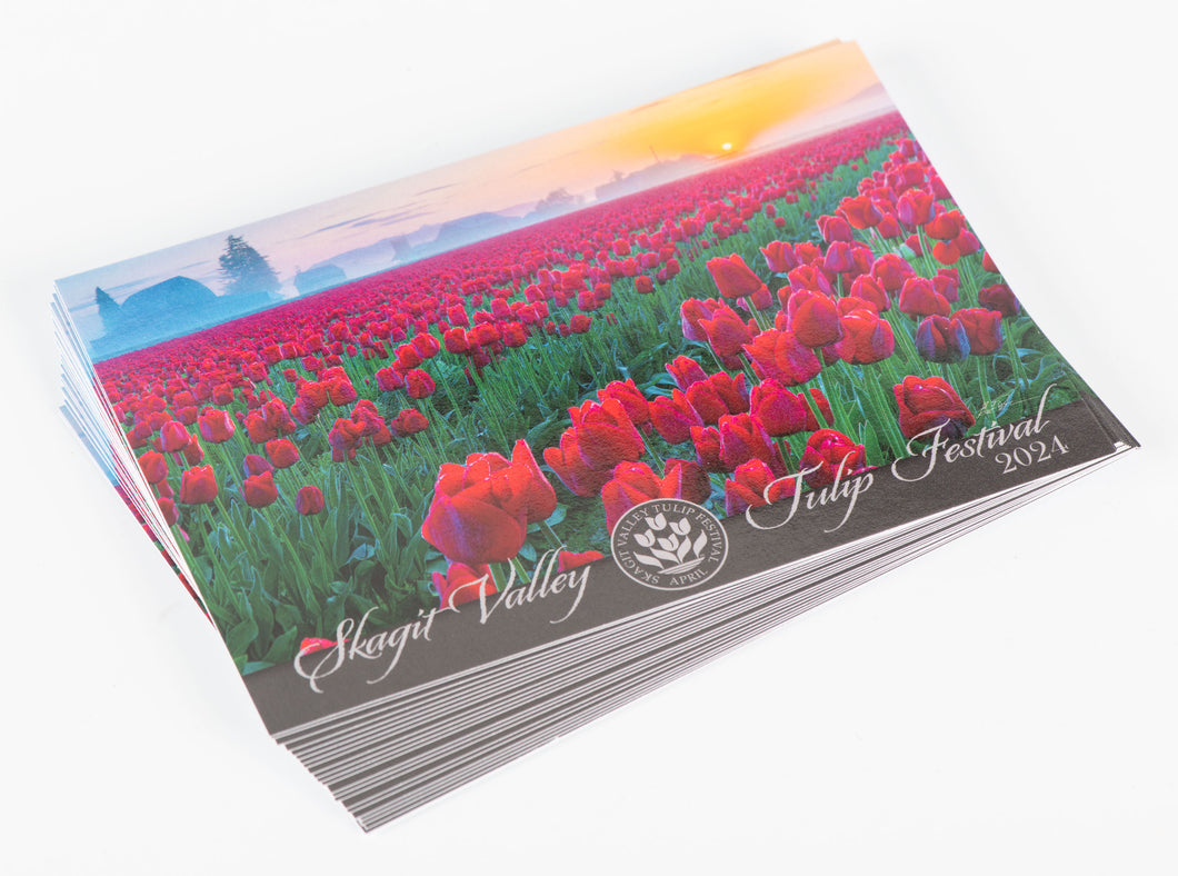 Postcards (Pack of 24) with 2024 Poster Image