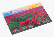 Load image into Gallery viewer, Postcards (Pack of 24) with 2024 Poster Image
