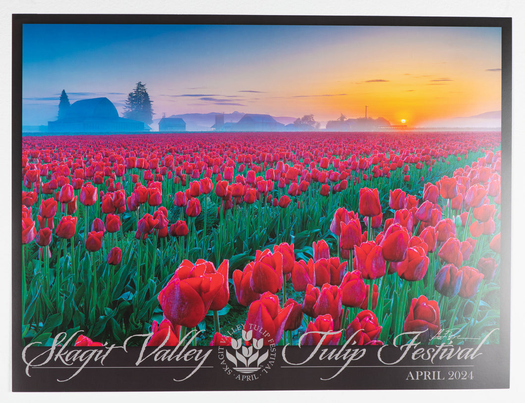 2024 Tulip Festival Poster (11x14) featuring Gary Brown artwork