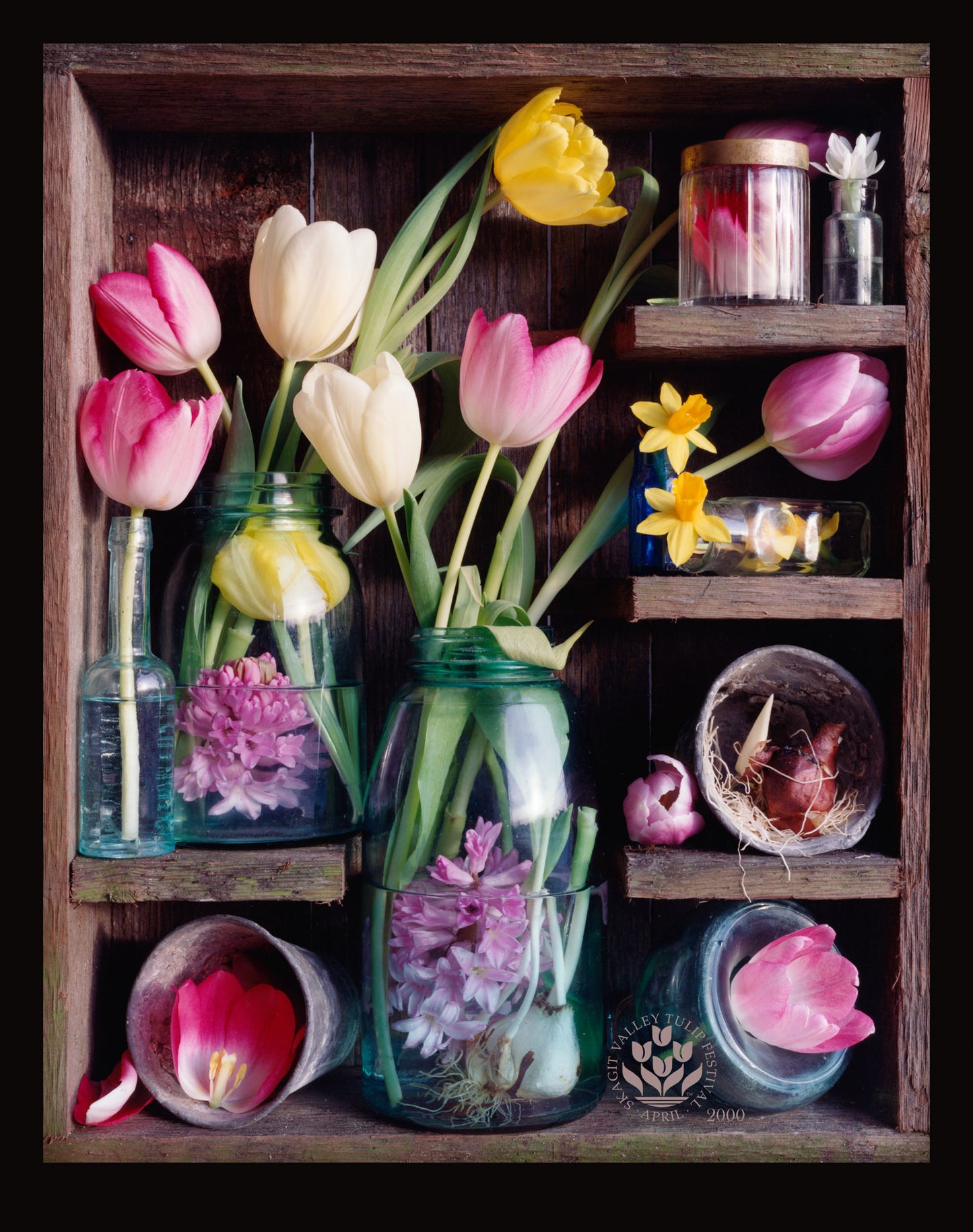 Official Tulip Festival Poster Tiles 1995-2021
